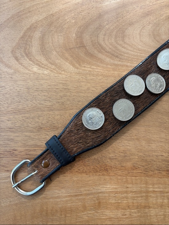 Brown and Silver Gaucho Leather Coin-Accented Belt main image 7